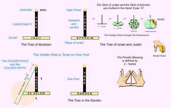 The Inverted Unit - T